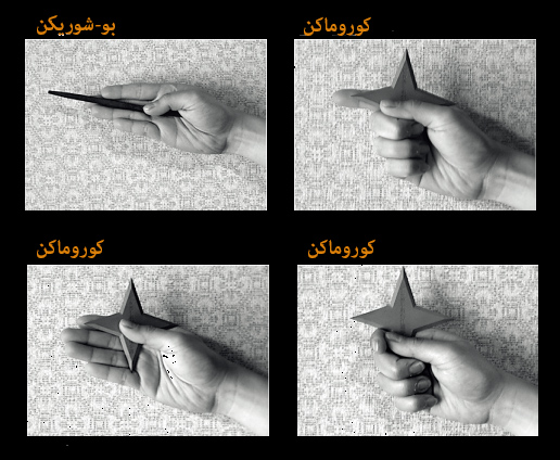 در دست گیری شوریکن