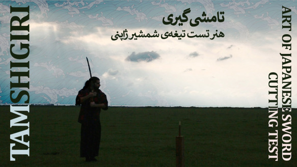 تامشیگیری چیست